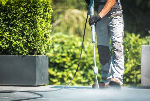 Solar Panel Cleaning in Capitol View, SC